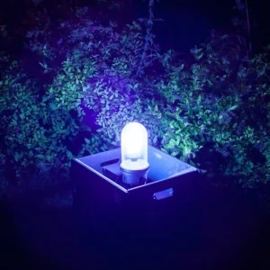 Light trap