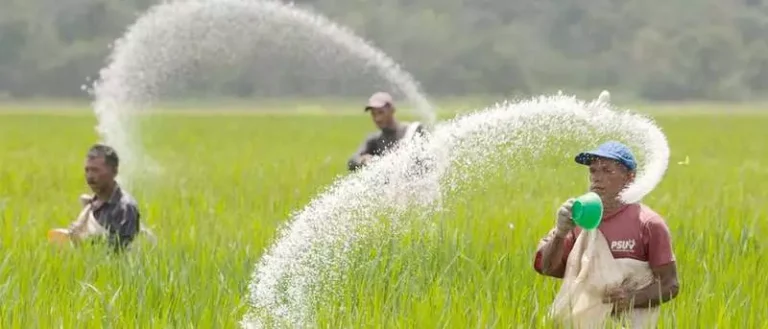 Urea-and-dap3