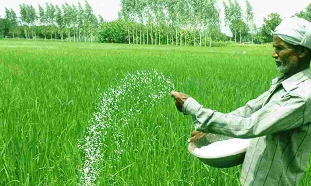 Urea-DAP से भी अच्छा और किफायती है ये खाद, इन फसलों के लिये साबित हो रहा वरदान 1 1600x960_1492775--45-