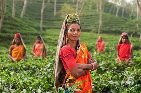 Women's Farmer's Day 2022