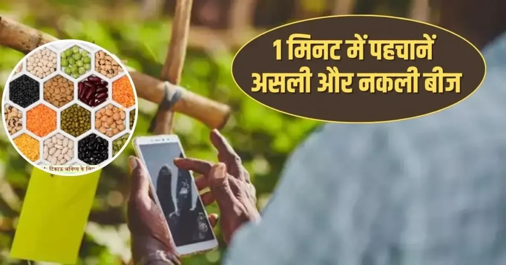 Seed Identification बीज असली है या नकली - ऐसे करें पहचान, ये हैं बीज जांचने के सबसे आसान तरीके 1 Seed Identification बीज असली है या नकली – ऐसे करें पहचान, ये हैं बीज जांचने के सबसे आसान तरीके
