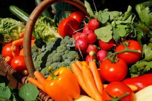 Vegetables Farming