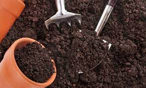 Home Garden होम गार्डन के लिए ऐसे तैयार करें उपजाऊ मिट्टी, लगेगी भरपूर फल और सब्जियां 2 image 192