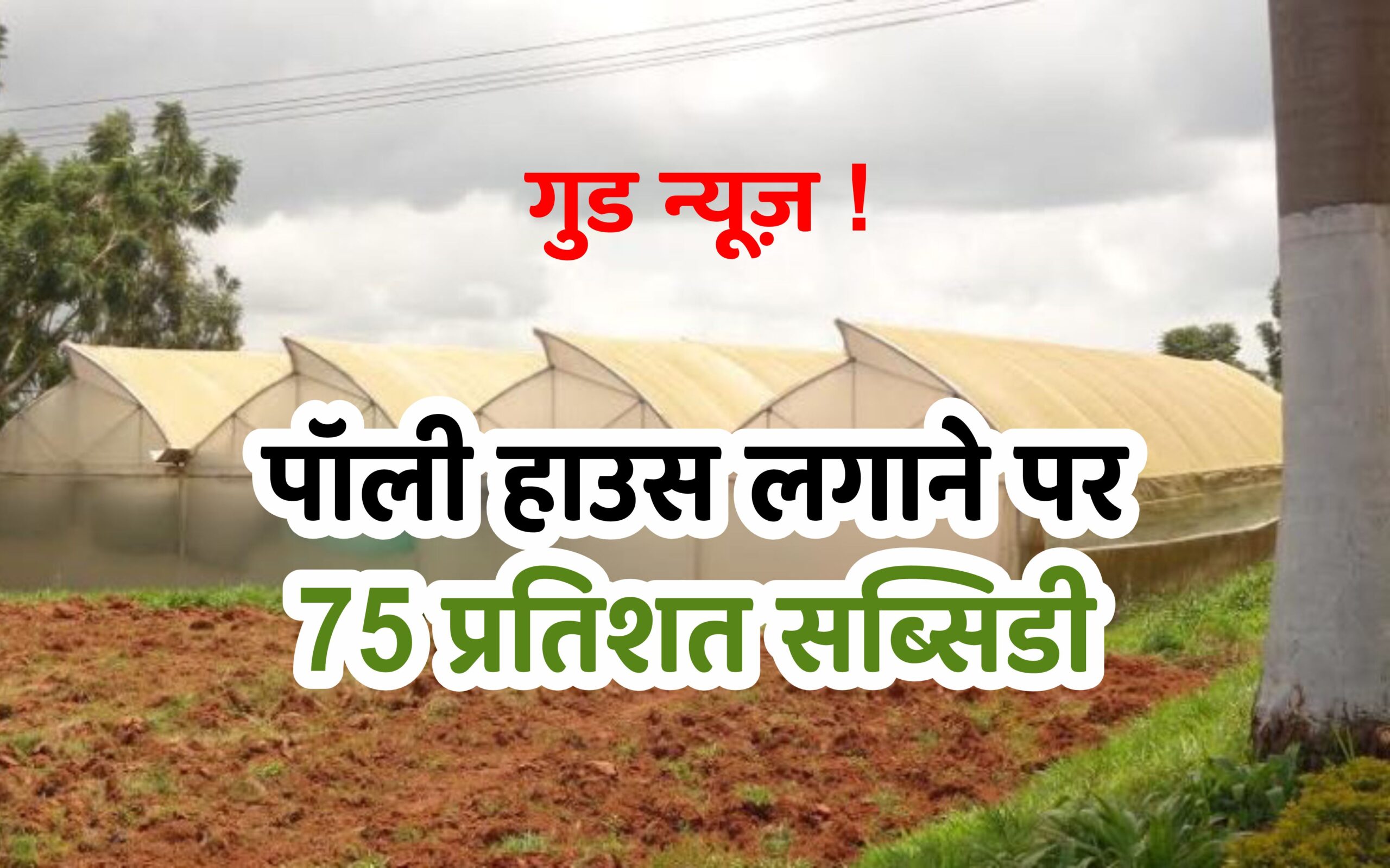 Madhya Pradesh government new scheme पॉली हाउस, शेड नेट हाउस एवं सब्जी उत्पादन पर अनुदान हेतु, किसान अभी करें आवेदन 1 Madhya Pradesh government new scheme पॉली हाउस, शेड नेट हाउस एवं सब्जी उत्पादन पर अनुदान हेतु, किसान अभी करें आवेदन