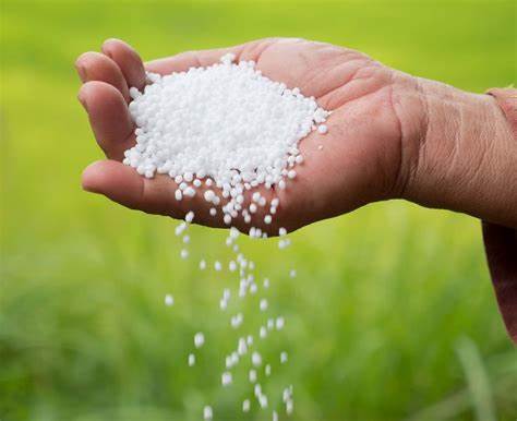 Urea Fertilizer सरकार 2025 तक बंद कर देगी विदेशों से यूरिया खरीदना! 2 th 2022 11 11T123501.525