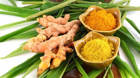 Varieties of Turmeric