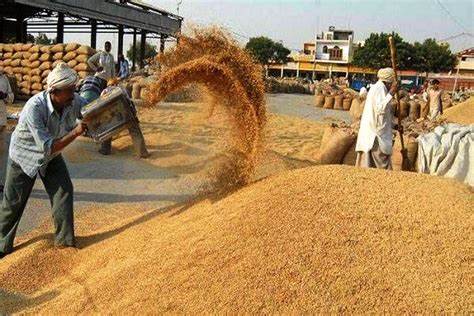 Purchase of Paddy किसानों के लिए अच्छी खबर, 28 नवंबर से शुरू होगी धान खरीदी, मिलेगी ये सुविधाए 1 th-2022-11-23T121052.317