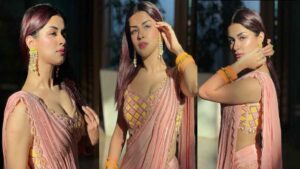 Avneet Kaur Saree Look: पिंक साड़ी, कानों में झुमके, हाथों में चूड़ियां… और खुले बाल, दिखाया लीक से हटकर अंदाज, बोल्ड तेवर छोड़ बनी खूबसूरती की मूरत!