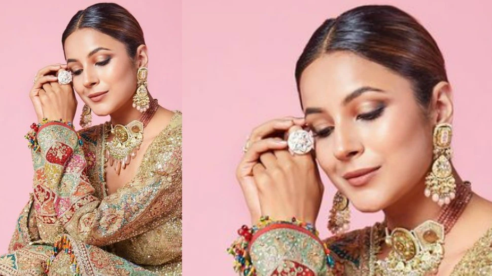 Shehnaaz Gill Look: शरारा पहन दुल्हन की तरह सजी ‘पंजाब की कैटरीना कैफ’, लगीं इतनी खूबसूरत की थमी रह गई निगाहें!