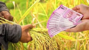 बैंक ने किसानों को करोड़ों रुपए का कर्ज दिया है।