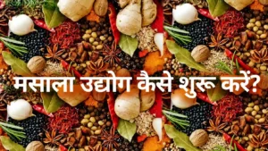 how to start masala business in hindi