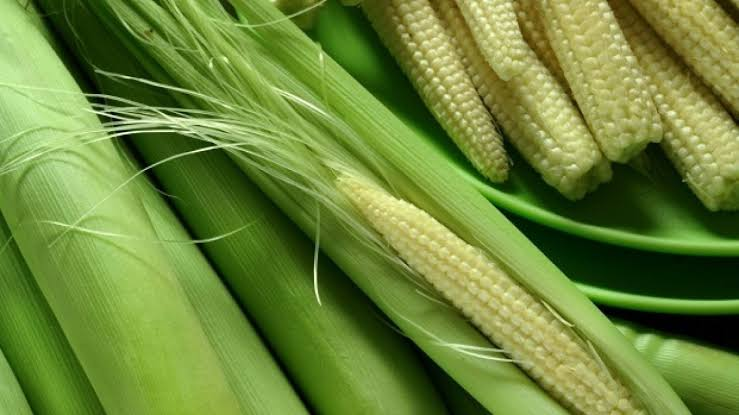 Baby Corn Cultivation बेबी कॉर्न की खेती का ऐसा तरीका, जो देगा लागत से 4 गुना ज्यादा मुनाफा! 2 image 37