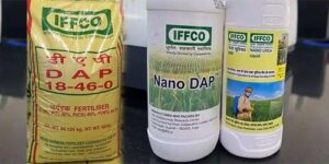 nano dap