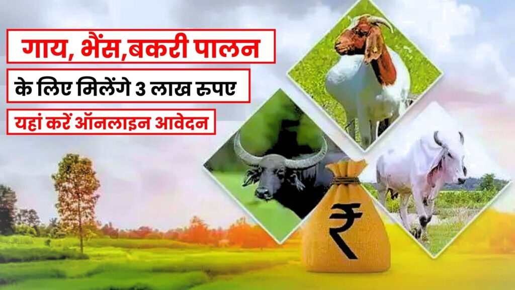 Pashu Kisan Credit Card: अब किसान के साथ पशु भी होंगे खुस ,बनवाये पशु किसान क्रेडिट कार्ड और झटपट से मिलेगा 3 लाख का लोन 1 Pashu-Kisan-Credit-Card-Yojana