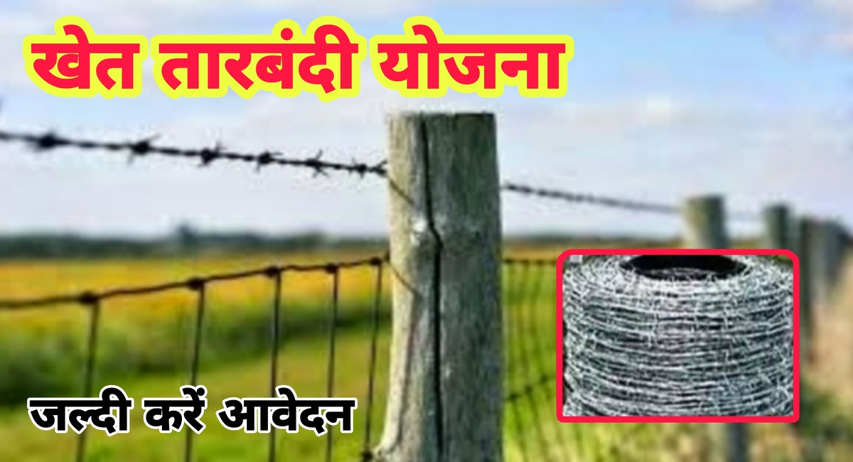 सरकार देंगी खेतो में तारबंदी के लिए 60% तक का अनुदान, ऐसे करे आवेदन 1 सरकार देंगी खेतो में तारबंदी के लिए 60% तक का अनुदान, ऐसे करे आवेदन