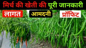 किसान भाइयो को मालामाल बना देंगी मिर्च की खेती, कम खर्चे में कमाई भी होगी डबल, देखे पूरी डिटेल
