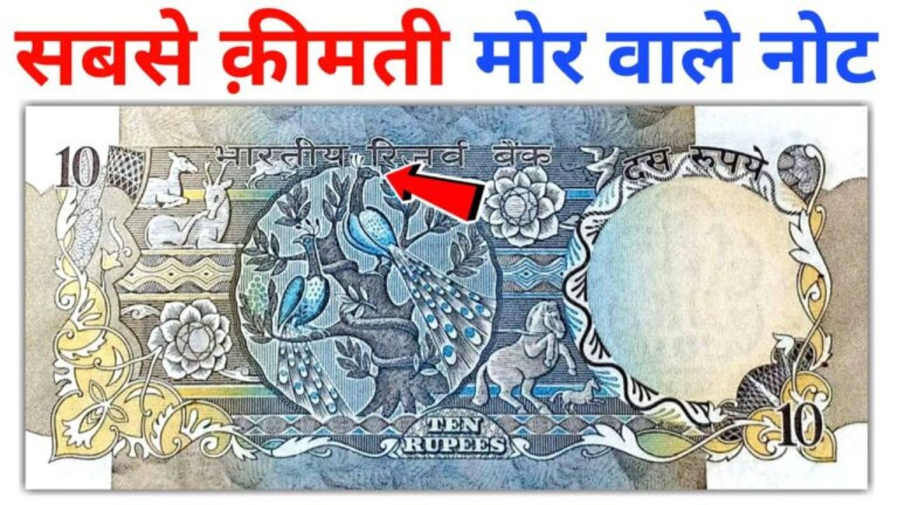 चंद मिनटों में 10 रुपये का यूनिक नोट बना देंगा लखपति, जाने खासियत और बेचने का आसान सा तरीका 1 चंद मिनटों में 10 रुपये का यूनिक नोट बना देंगा लखपति, जाने खासियत और बेचने का आसान सा तरीका