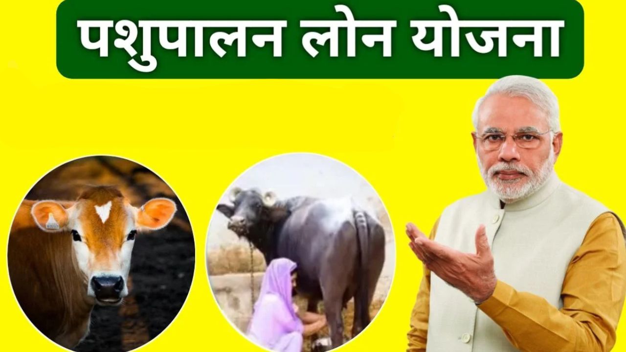सरकार देंगी पशु पालन के लिए 10 लाख रुपये तक का लोन, ऐसे करे आवेदन 1 सरकार देंगी पशु पालन के लिए 10 लाख रुपये तक का लोन, ऐसे करे आवेदन
