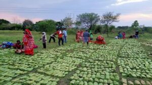 किसानो को लखपति बना देंगी तेंदूपत्ते की खेती, कम समय में हो जायेंगे मालामाल