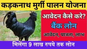 Kadaknath Murgi Palan Loan: कड़कनाथ मुर्गी पालन के लिए सरकार देगी 9 लाख रुपये तक का लोन, यहाँ करे आवेदन
