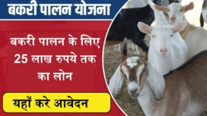 Bakari Palan Lone:बकरी पालन के लिए सरकार दे रही 25 लाख रुपये तक का लोन, जाने कैसे करे आवेदन