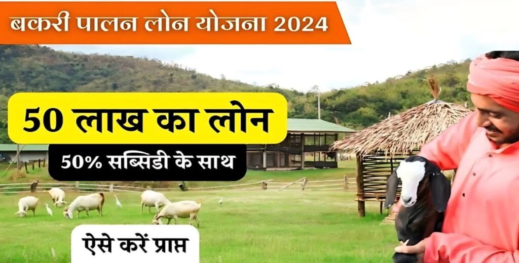 बकरी पालन के लिए 50 लाख तक का लोन देगी सरकार, कम समय में हो जायेंगे मालामाल ऐसे करे आवेदन